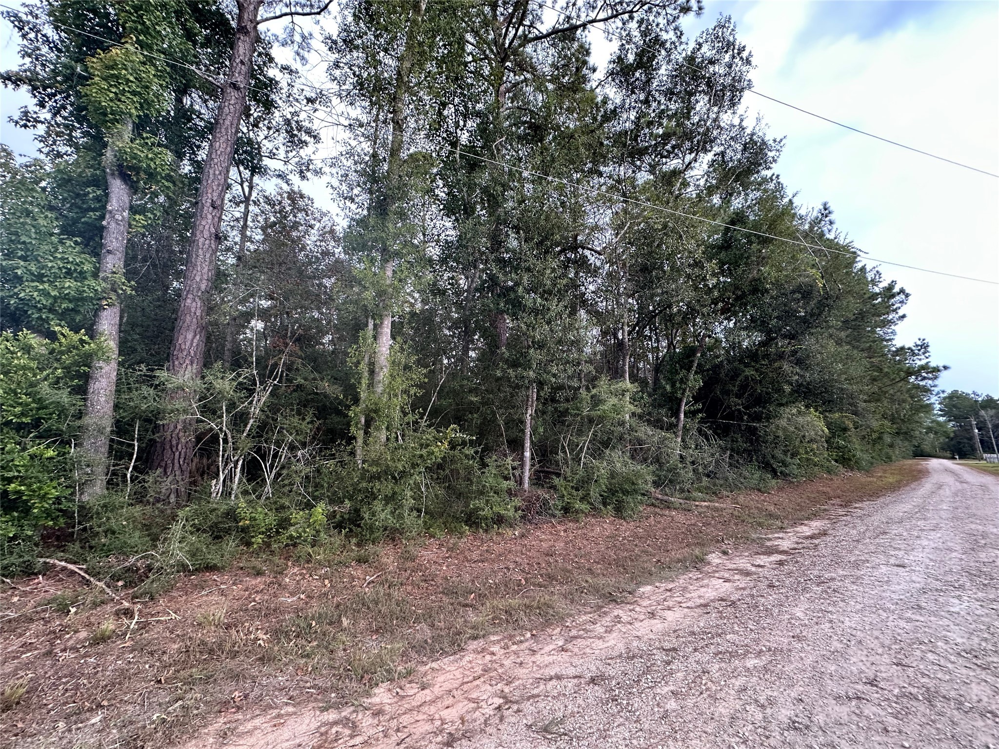 0 Pine Crest Shepherd, TX 77371 - Photo 2 of 4 a view of a forest with trees in the background