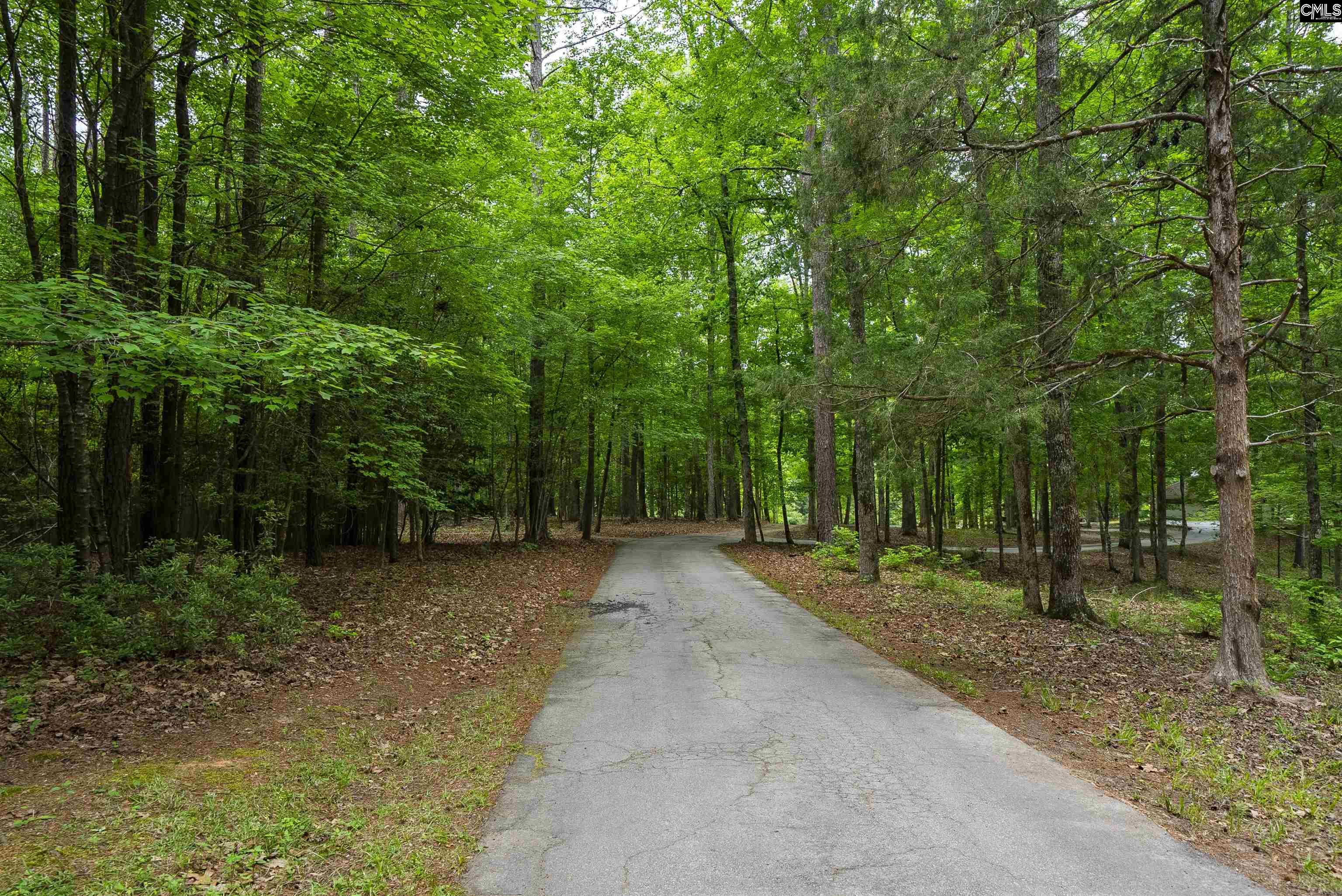 150 Four Foxes Lane Chapin, SC 29036 - Photo 23 of 82