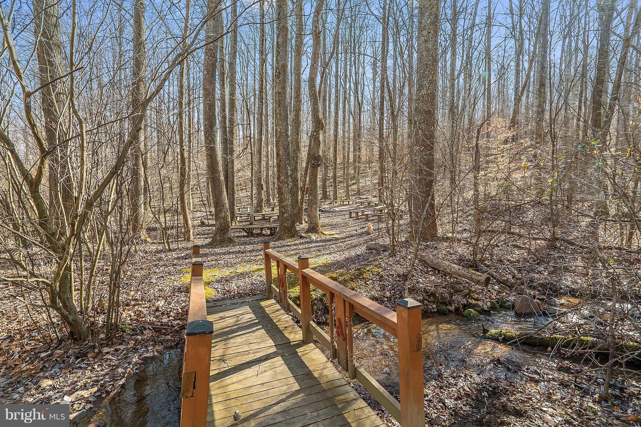 12494 Moss Hollow Road Markham, VA 22643 - Photo 19 of 26 Hiking trails