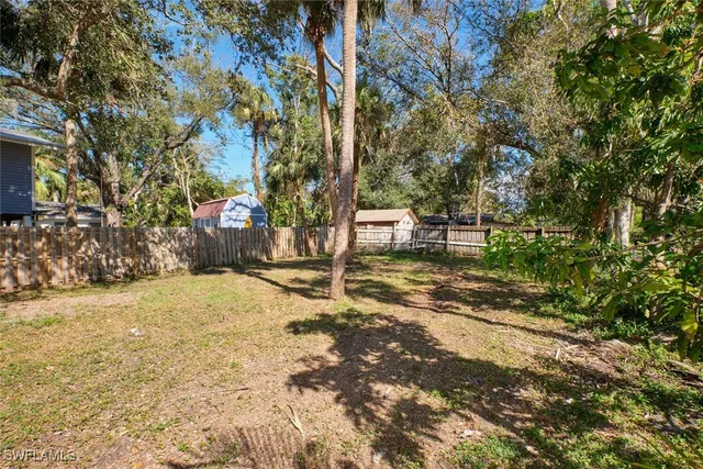 a view of a yard with plants and trees