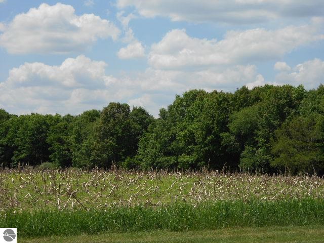 4461 North Waldron Road Edmore, MI 48829 - Photo 40 of 40 1785699-39.JPG