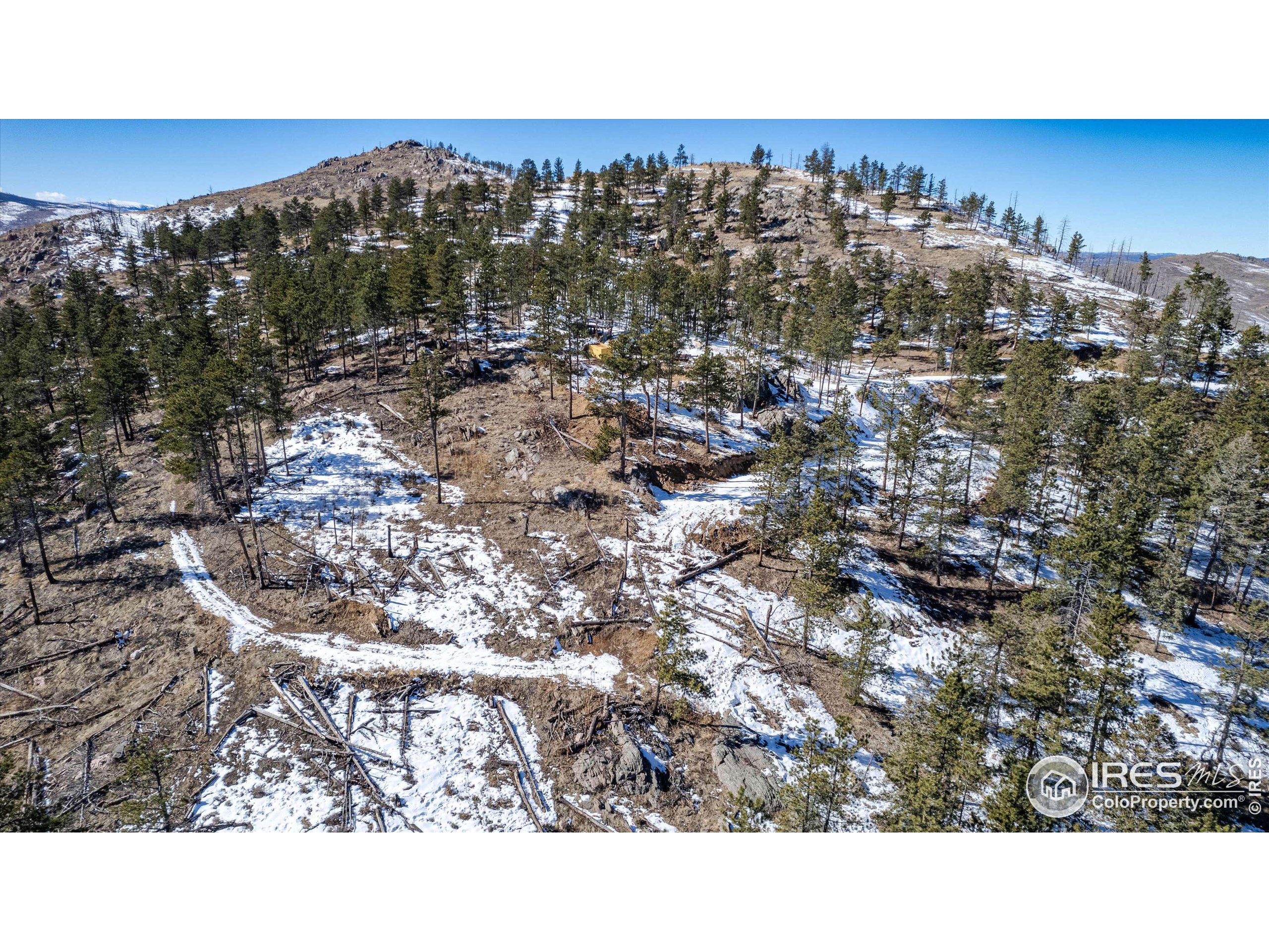 0 Stratton Park Road Bellvue, CO 80512 - Photo 14 of 21