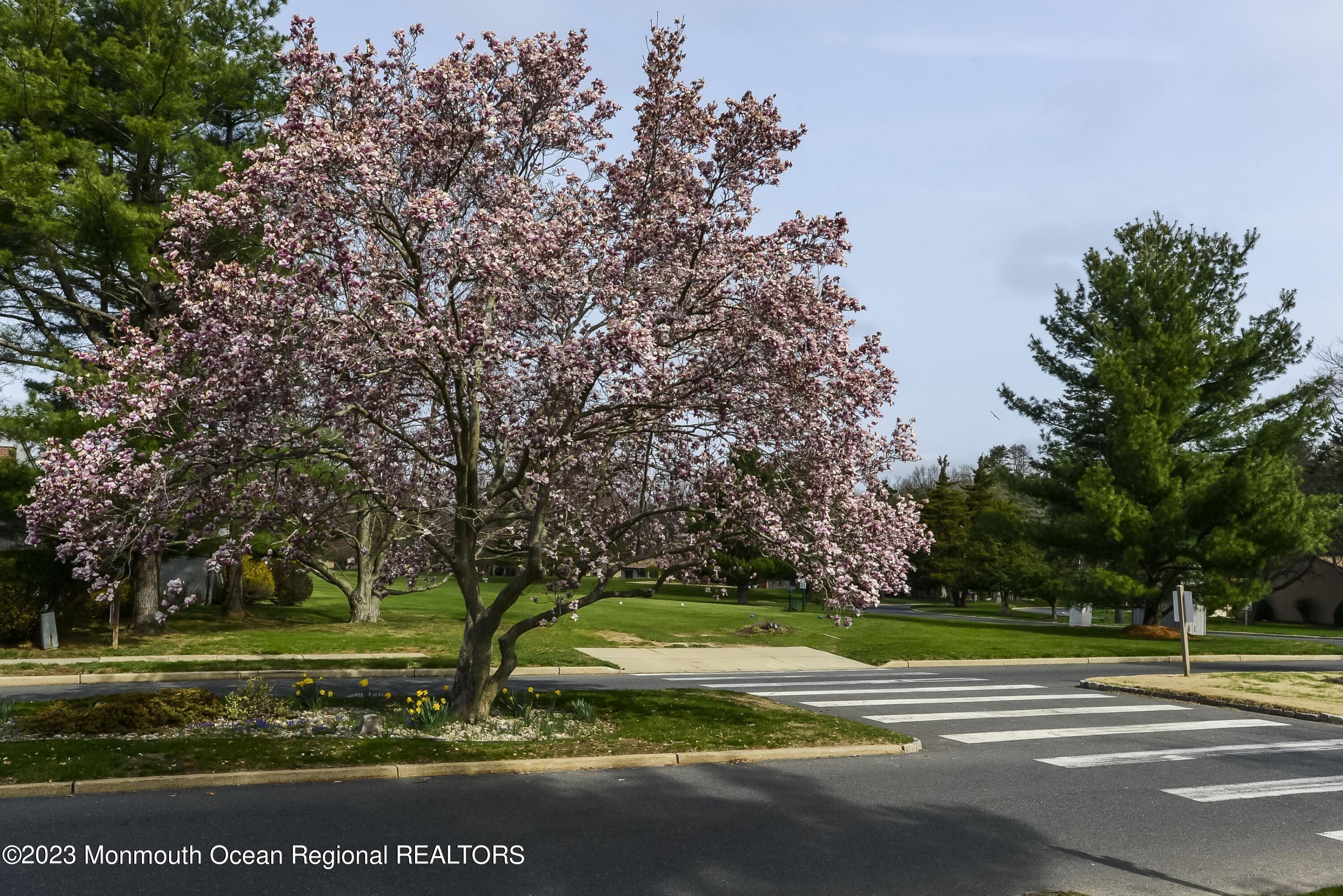 29 Manchester Court Red Bank, NJ 07701 - Photo 3 of 49 a view of a golf course