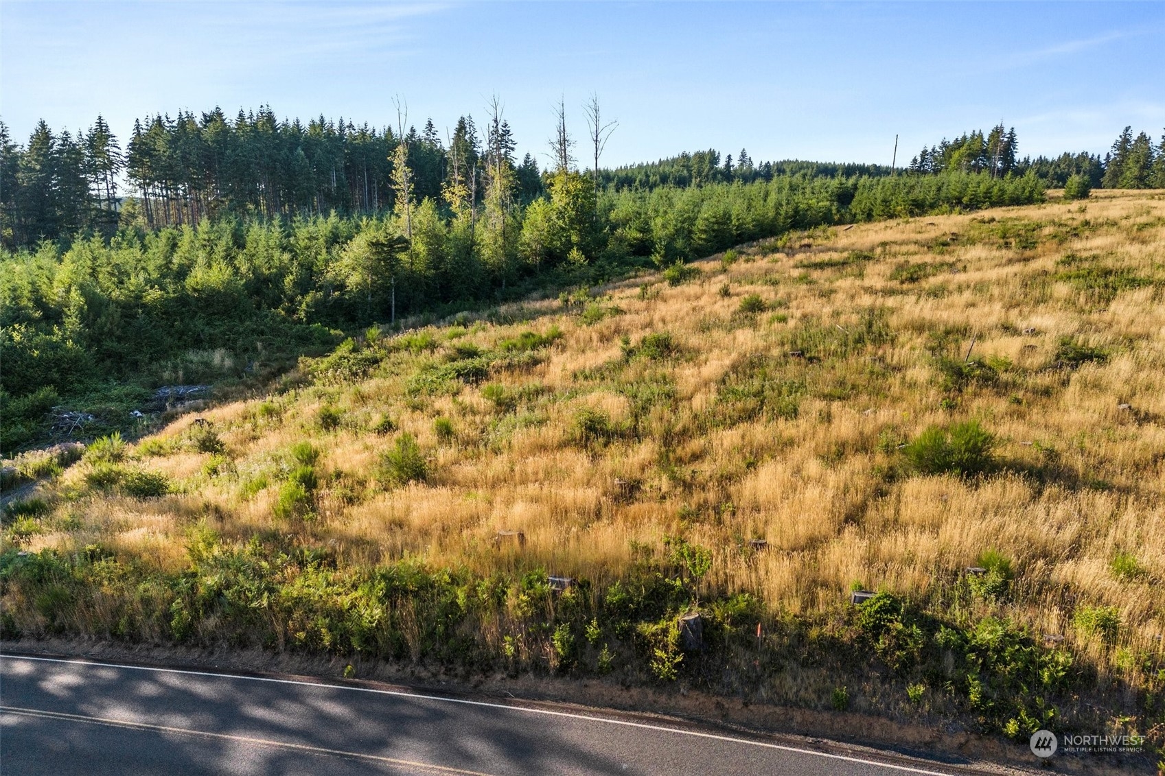 108 Brim Ridge Lane Winlock, WA 98596 - Photo 16 of 31