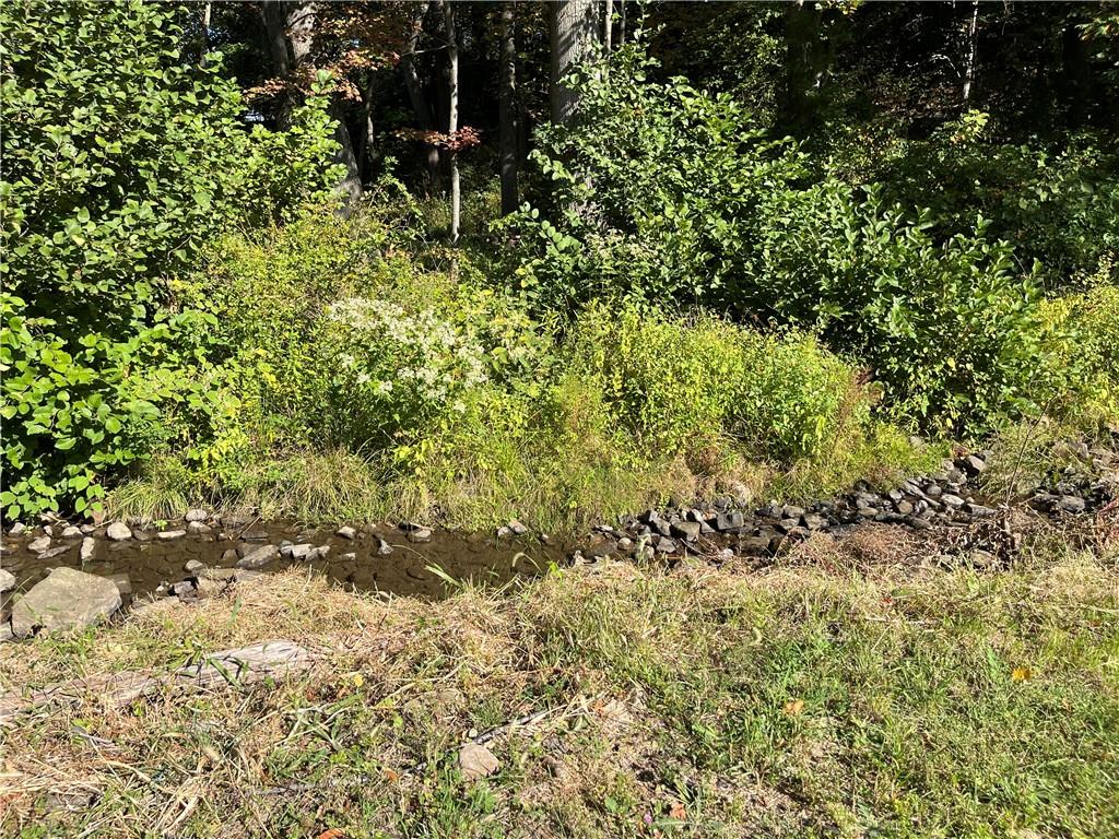 131 Hopwood Coolspring Road Hopwood, PA 15445 - Photo 7 of 18