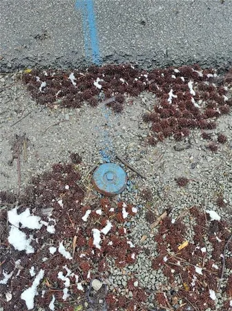 $16,500 | 131 Hopwood Coolspring Road, Hopwood, PA 15445