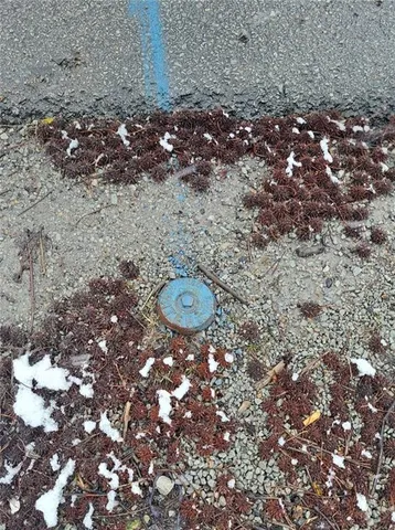 $16,500 | 131 Hopwood Coolspring Road, Hopwood, PA 15445