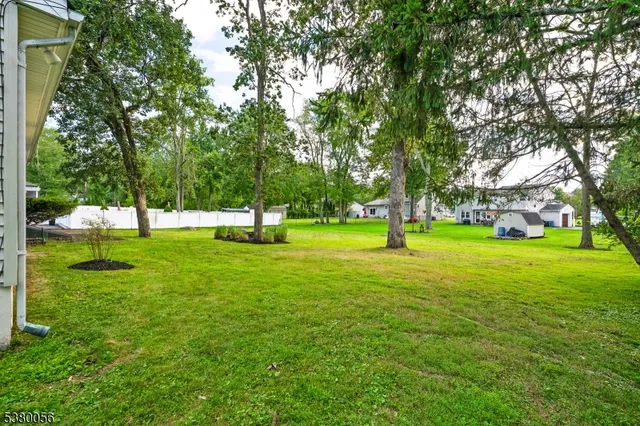 a view of green field