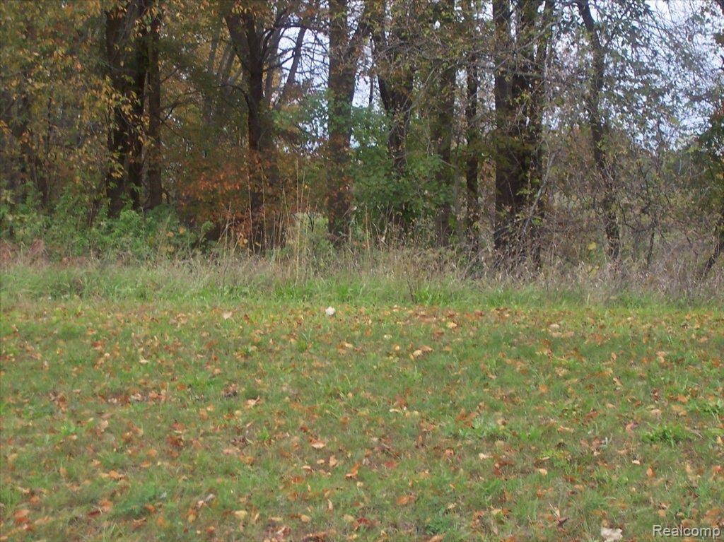 54 Iosco Ridge Gregory, MI 48137 - Photo 1 of 1