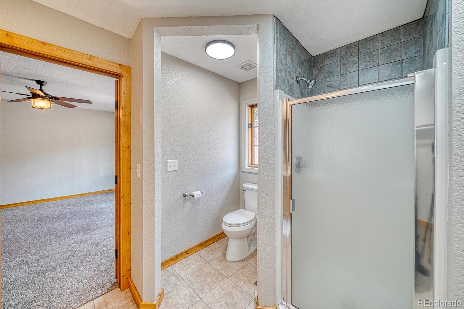 318 Southgate Road Florissant, CO 80816 - Photo 21 of 48 a bathroom with a shower and a toilet