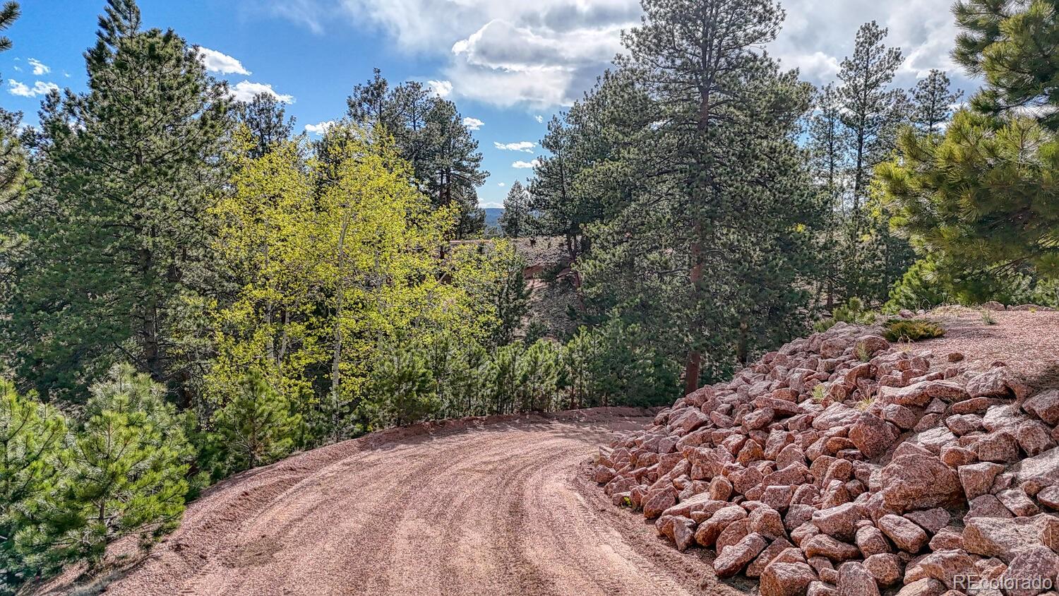 318 Southgate Road Florissant, CO 80816 - Photo 40 of 48 a view of a yard
