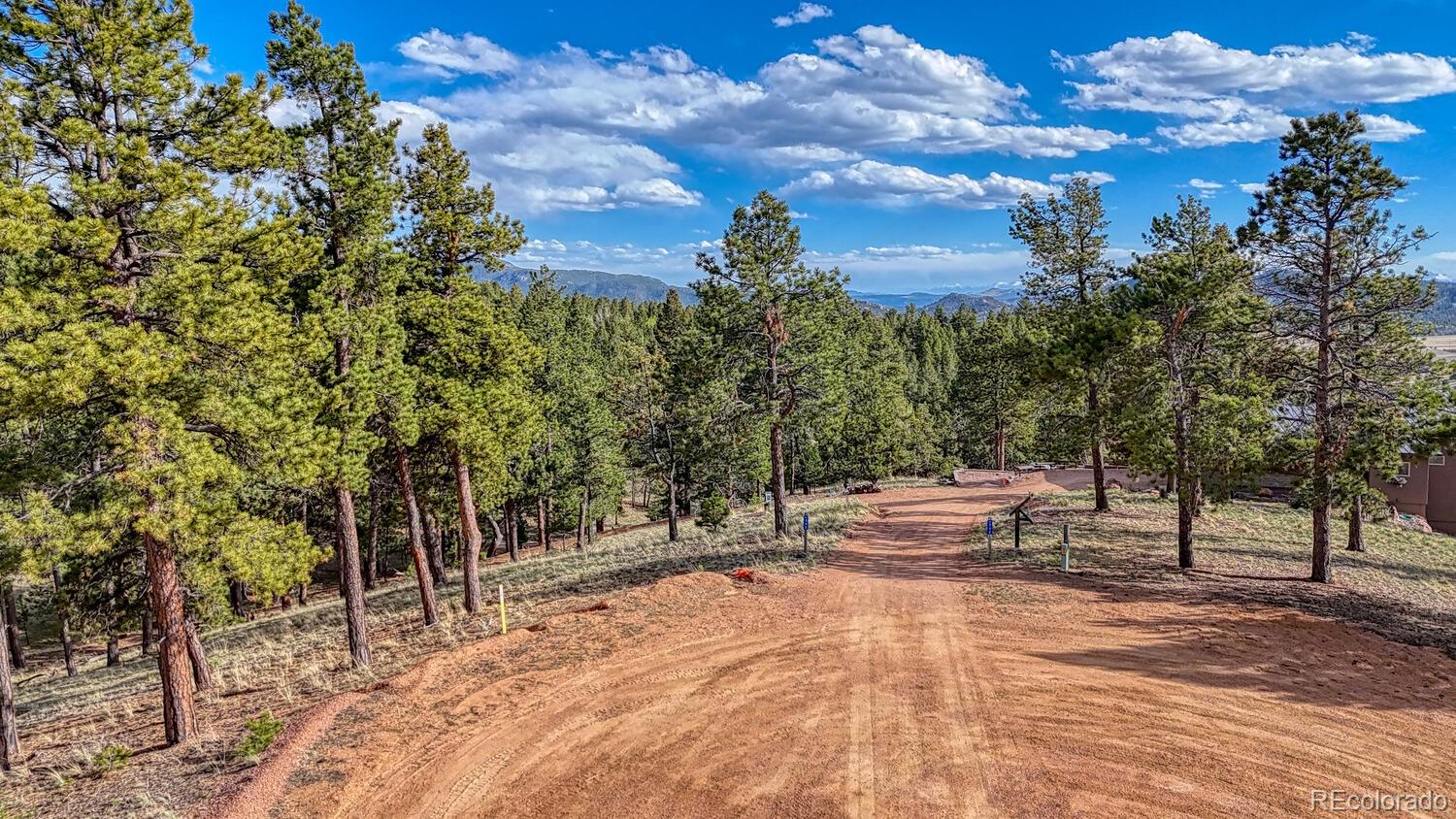 318 Southgate Road Florissant, CO 80816 - Photo 42 of 48