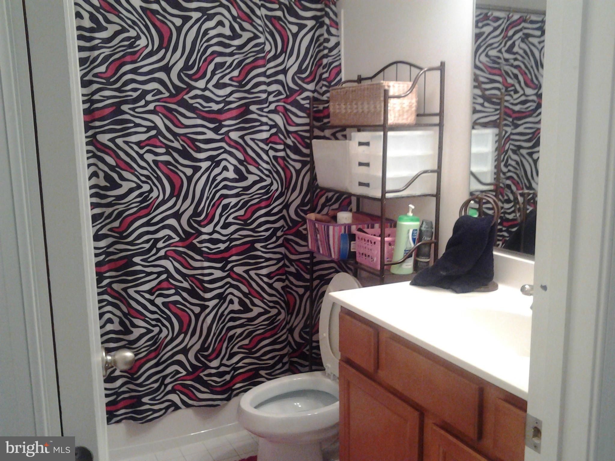 3903 Oaklawn Road Fort Washington, MD 20744 - Photo 24 of 26 2nd Level Bath