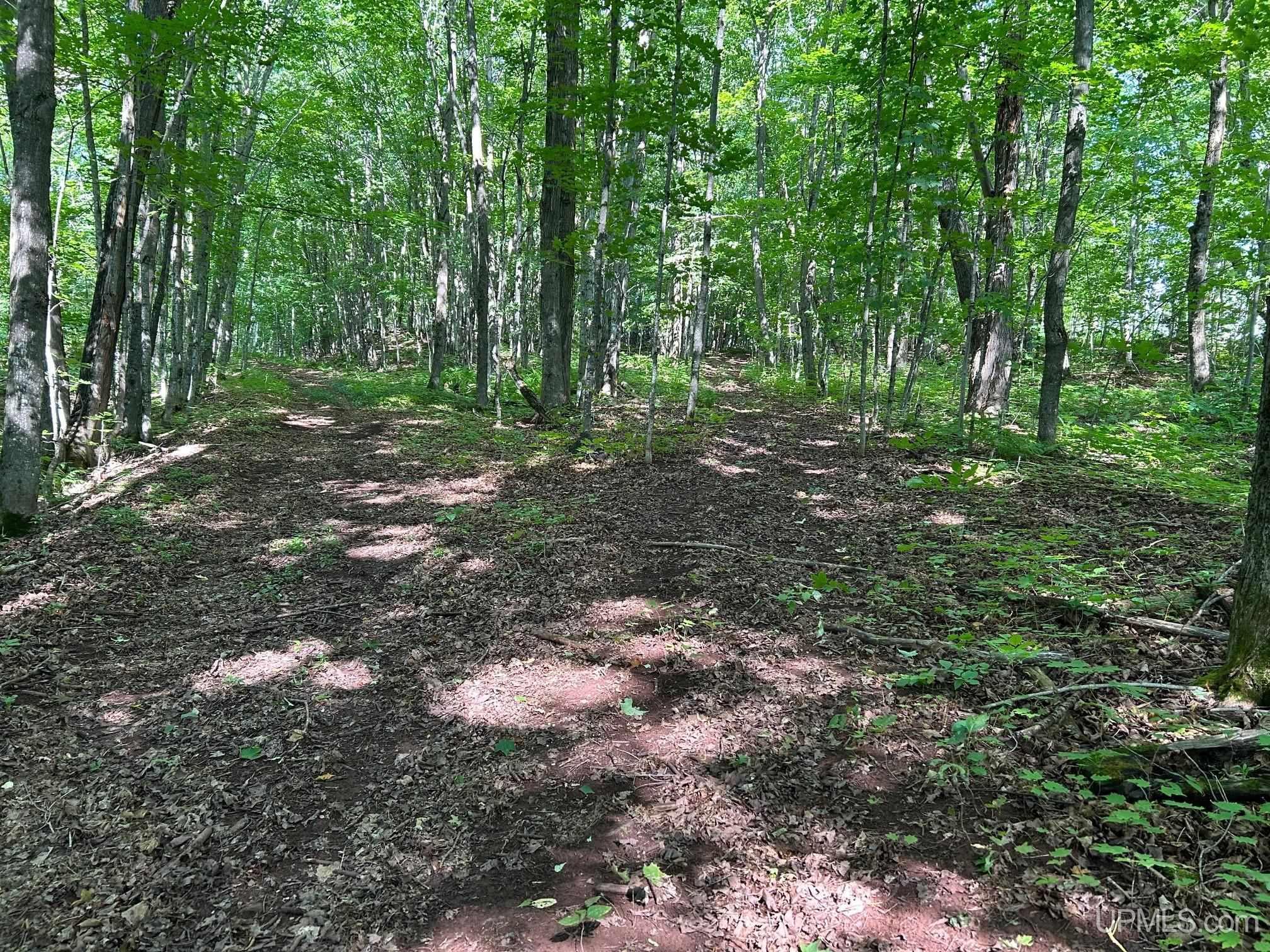 1700 Palms Road Bessemer, MI 49911 - Photo 27 of 44 Gallery Image 27