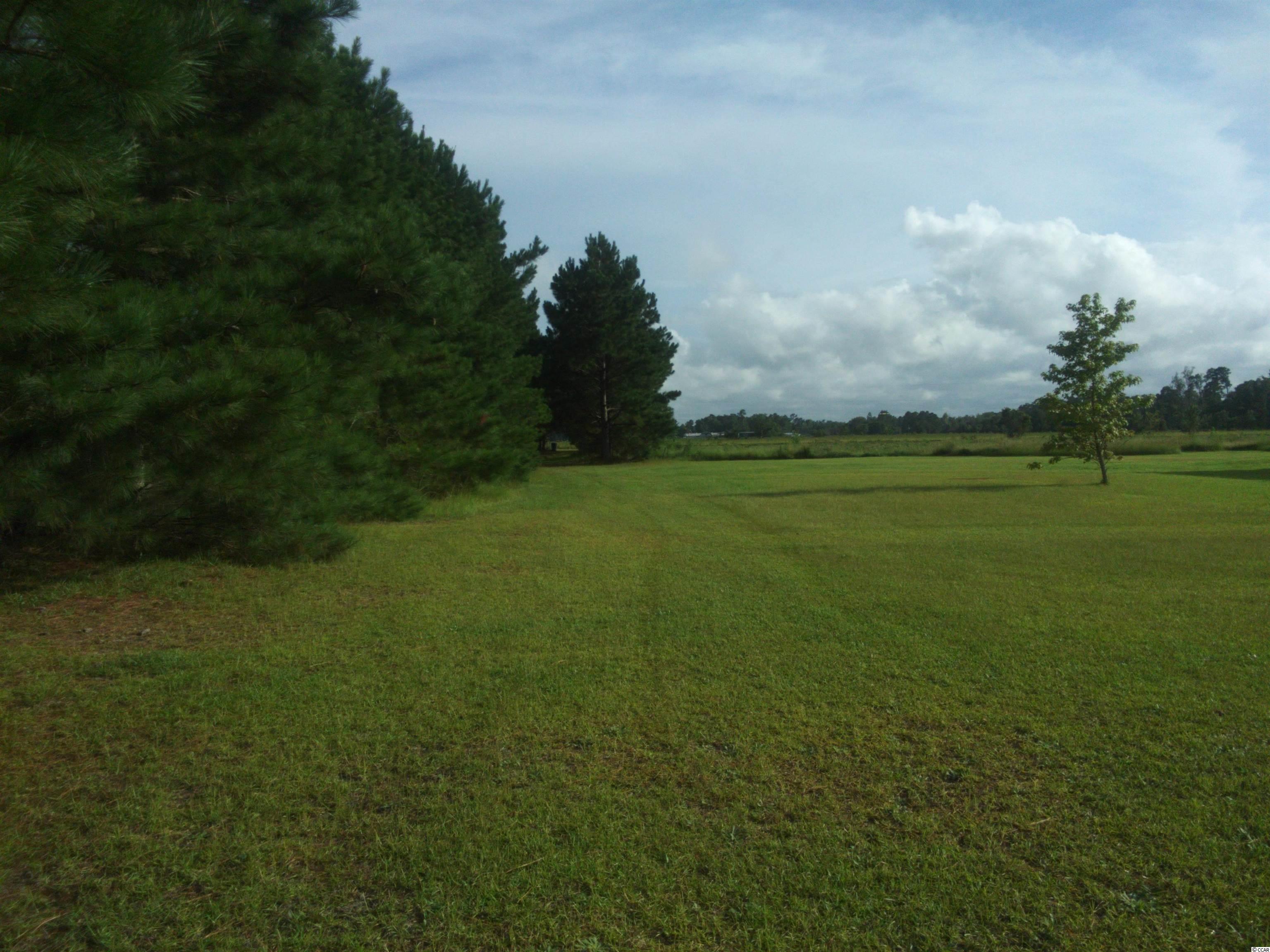 2800 Malcolm Road Marion, SC 29571 - Photo 25 of 34 Gallery Image 25