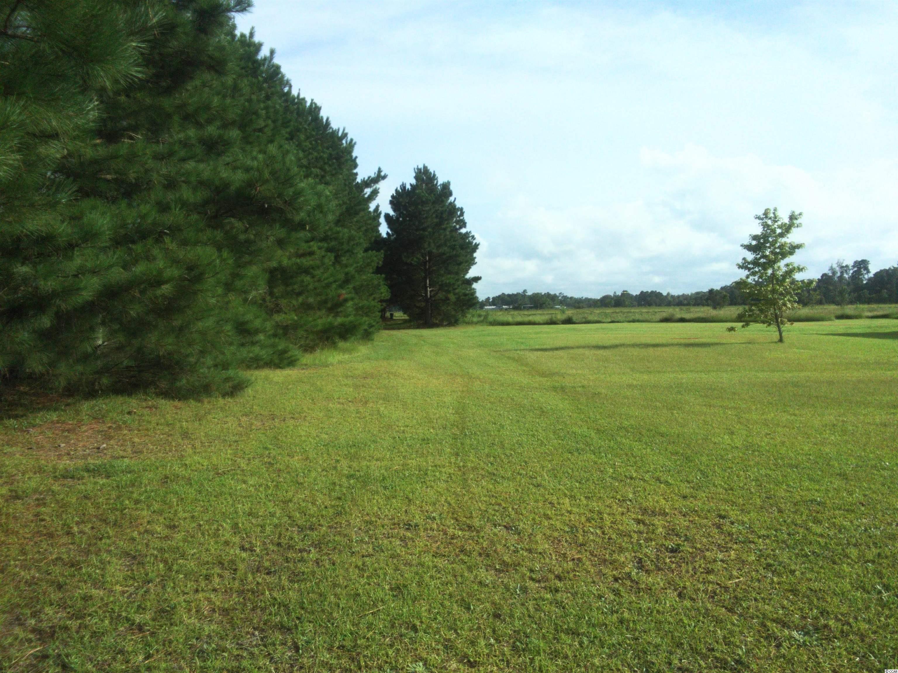 2800 Malcolm Road Marion, SC 29571 - Photo 5 of 34 Gallery Image 5