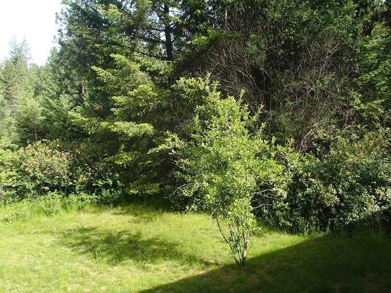 5067 F Rail Canyon Road Springdale, WA 99173 - Photo 16 of 20