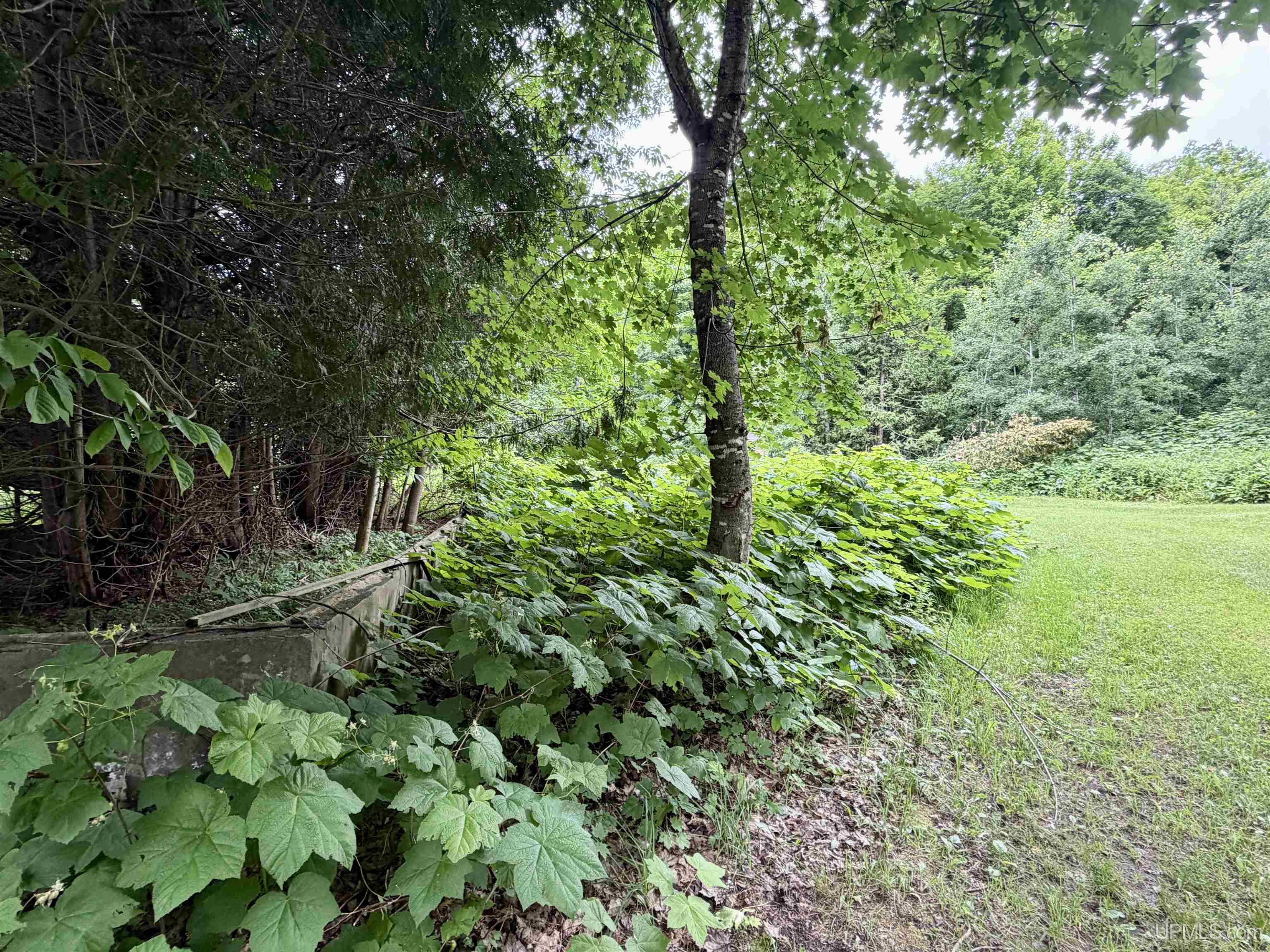 21342 Royce Road Hancock, MI 49930 - Photo 62 of 94