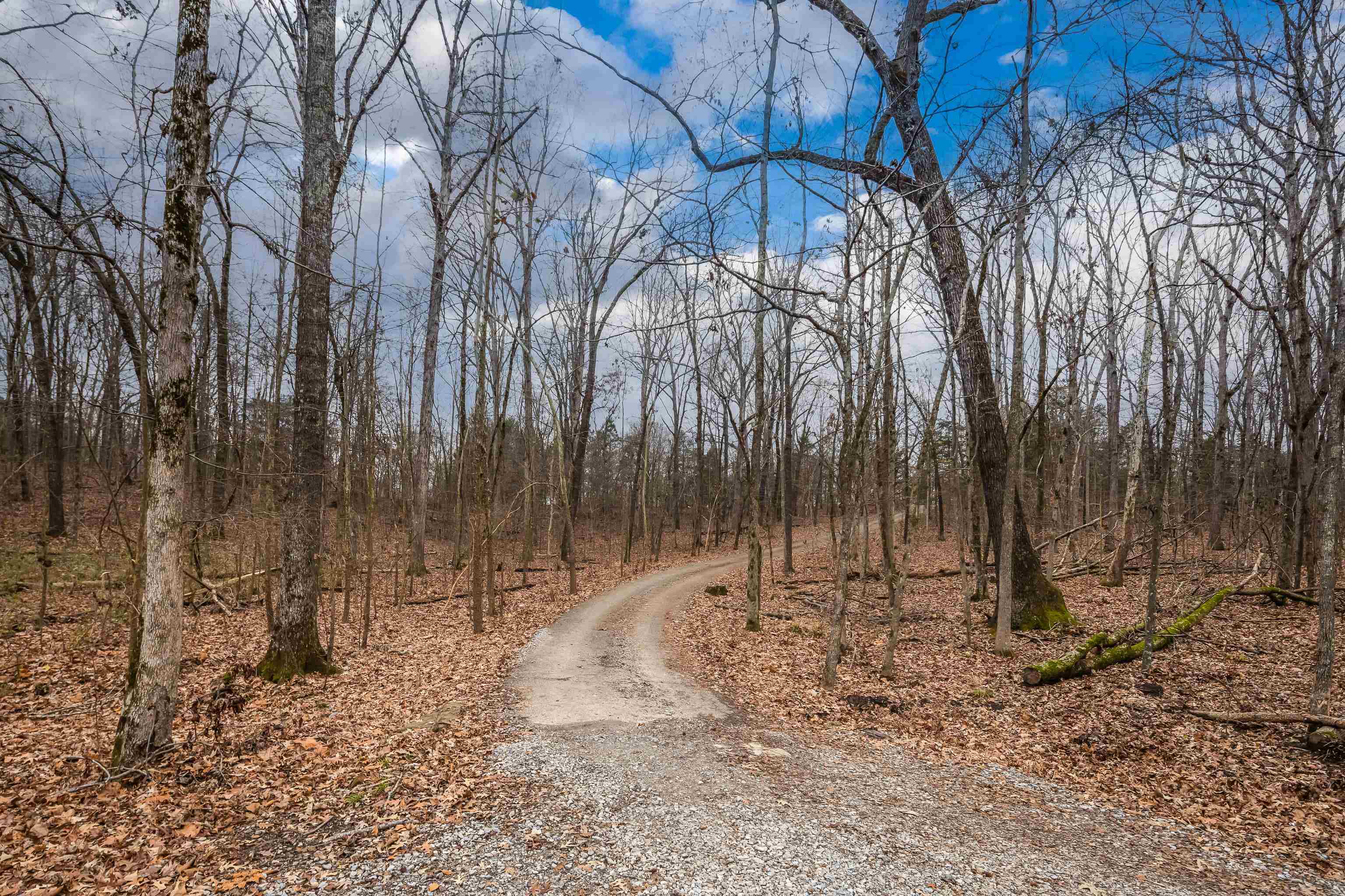 1755 Country Club Road Somerville, TN 38068 - Photo 8 of 40 a backyard of a house with lots of green space