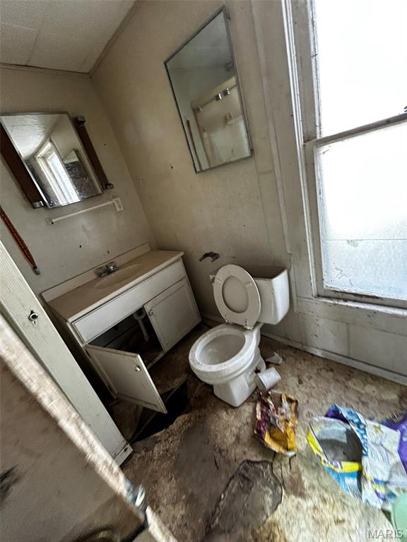 106 Locust Street Coffeen, IL 62017 - Photo 50 of 71