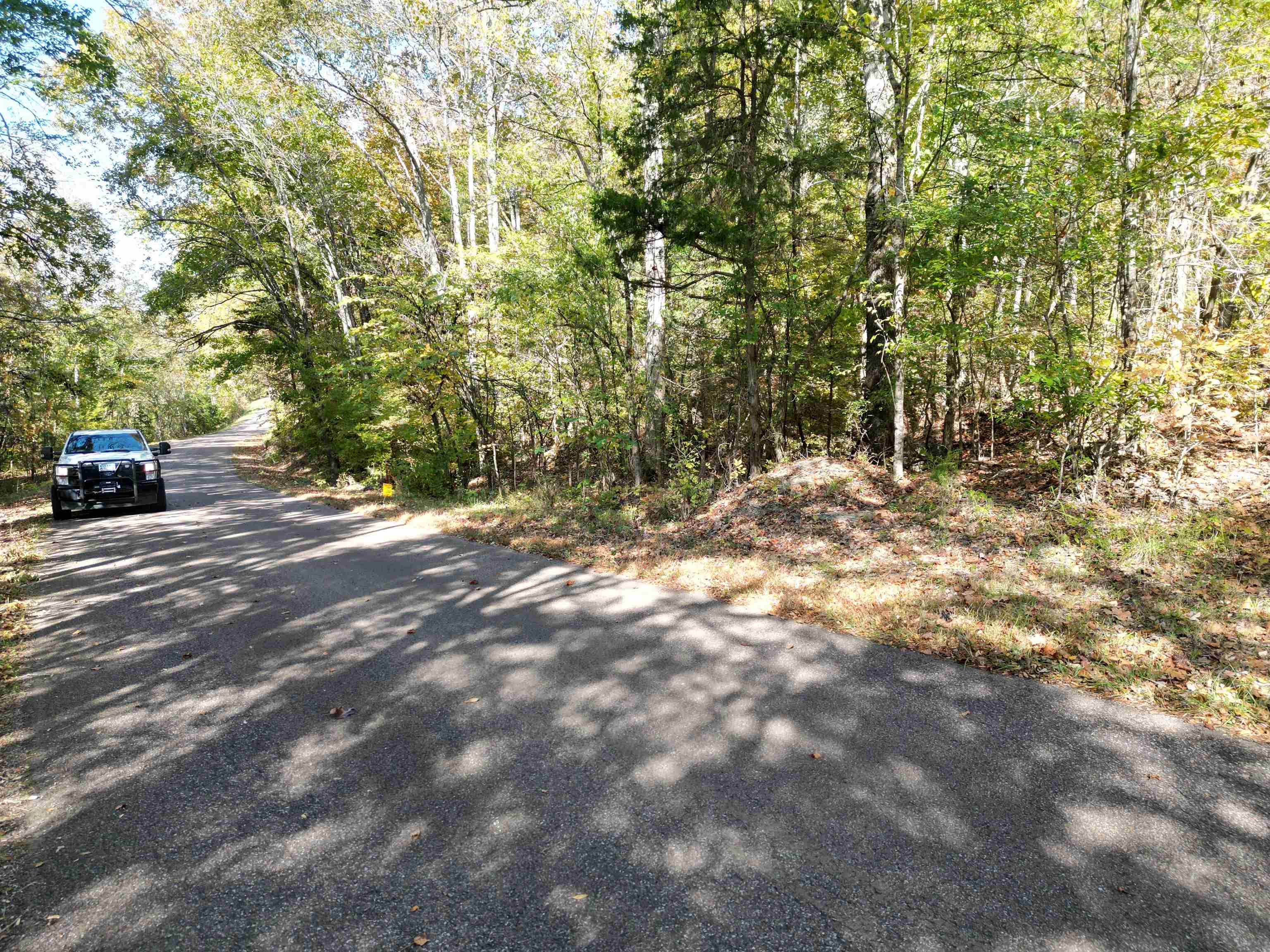 a view of outdoor space with deck and tree