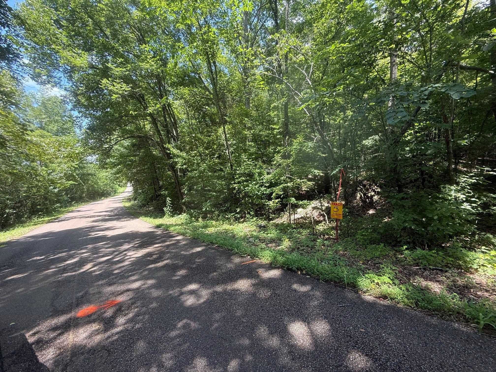 4 Cherry Chapel Loop Savannah, TN 38372 - Photo 11 of 15 a view of a yard with plants and trees