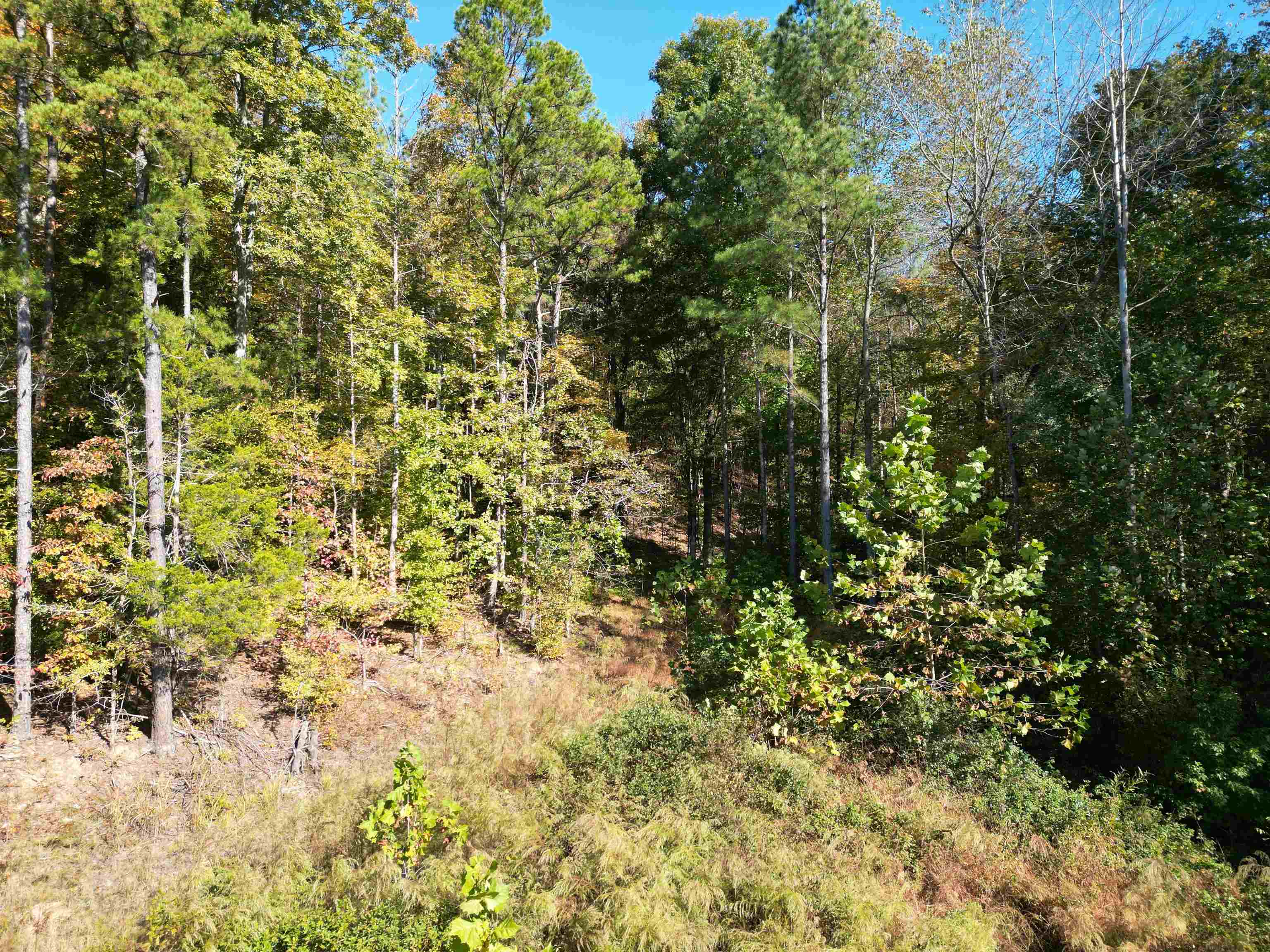 4 Cherry Chapel Loop Savannah, TN 38372 - Photo 13 of 15