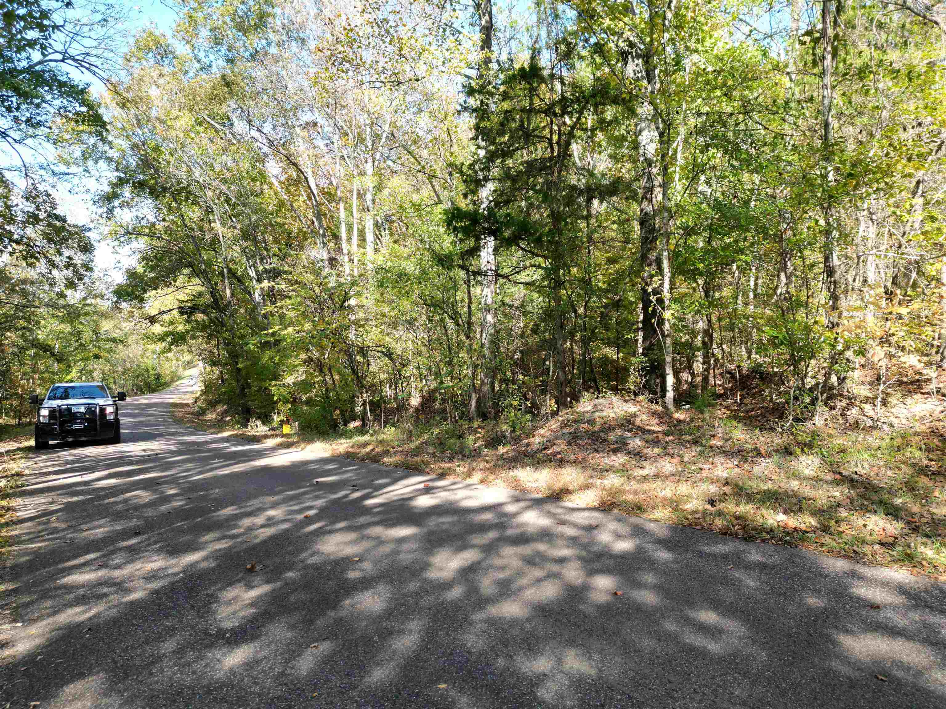 4 Cherry Chapel Loop Savannah, TN 38372 - Photo 15 of 15 a view of a field with trees in the background