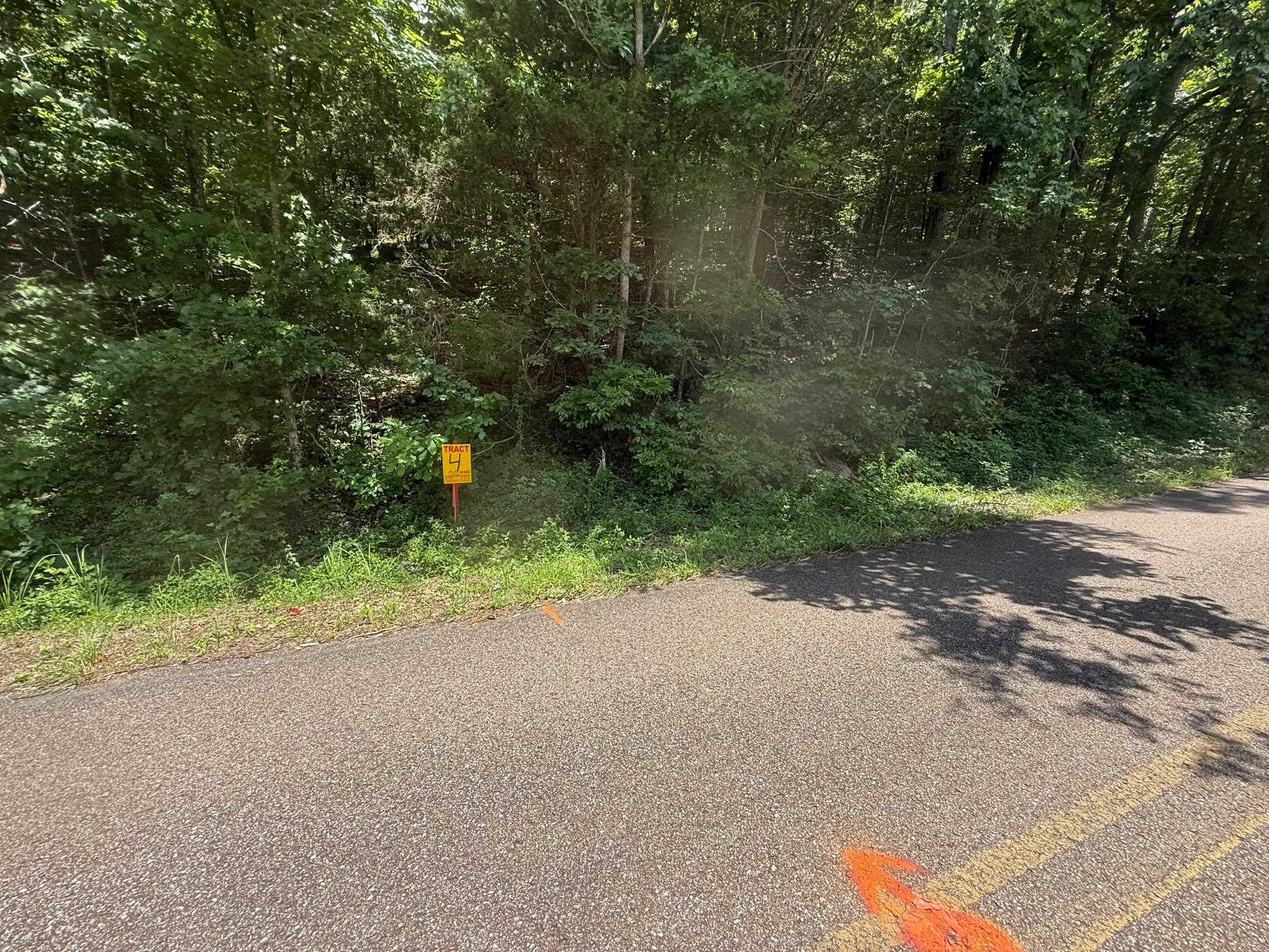 4 Cherry Chapel Loop Savannah, TN 38372 - Photo 2 of 15 a view of a road with a trees