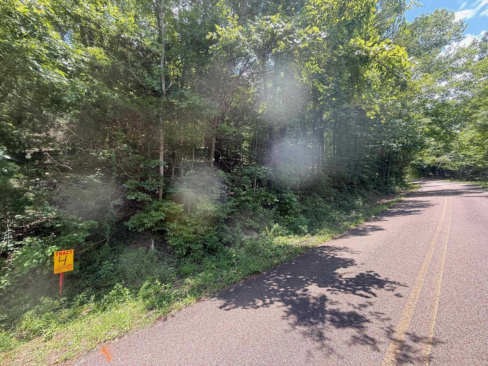 4 Cherry Chapel Loop Savannah, TN 38372 - Photo 4 of 15 a view of a yard with plants and a bench
