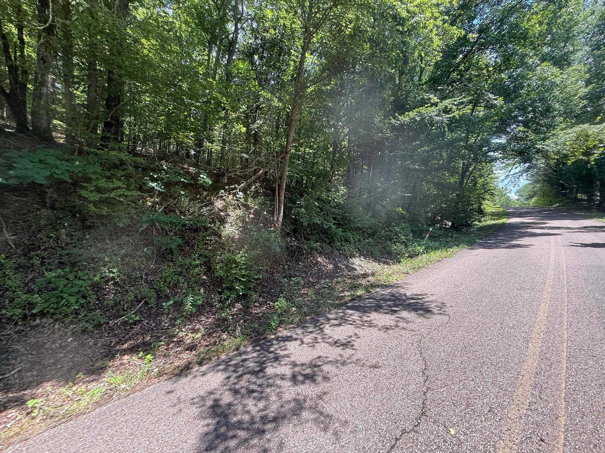4 Cherry Chapel Loop Savannah, TN 38372 - Photo 6 of 15 a view of a dirt road with trees in the background