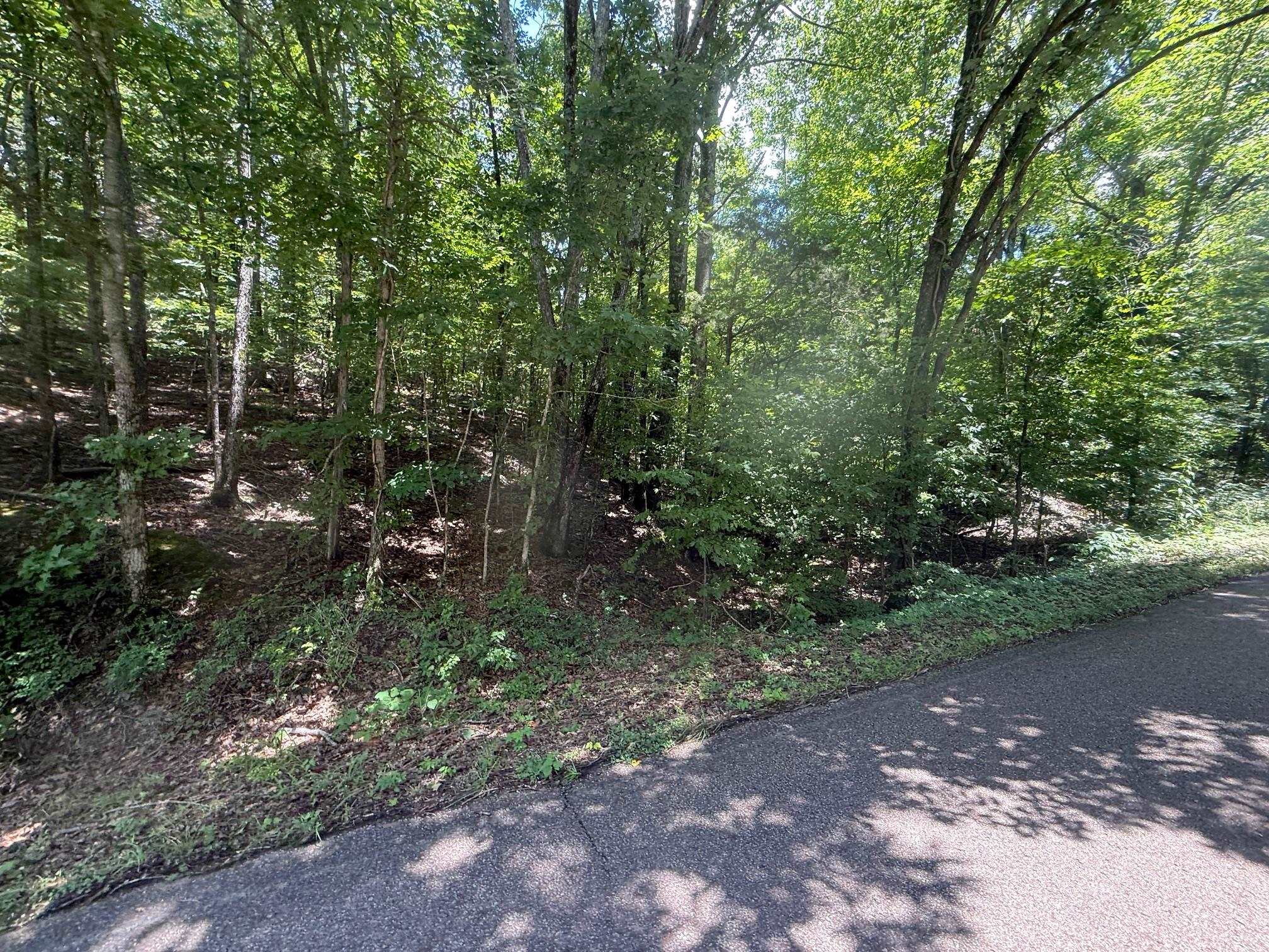 4 Cherry Chapel Loop Savannah, TN 38372 - Photo 7 of 15 a view of a forest with trees in the background