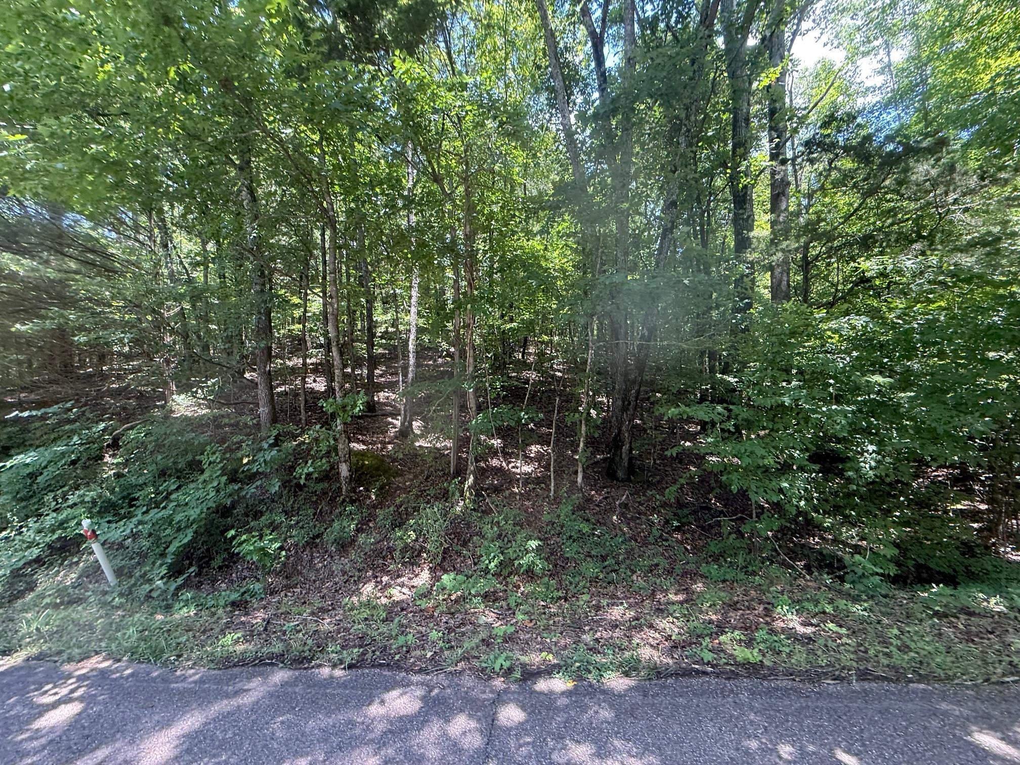 4 Cherry Chapel Loop Savannah, TN 38372 - Photo 8 of 15 a view of forest