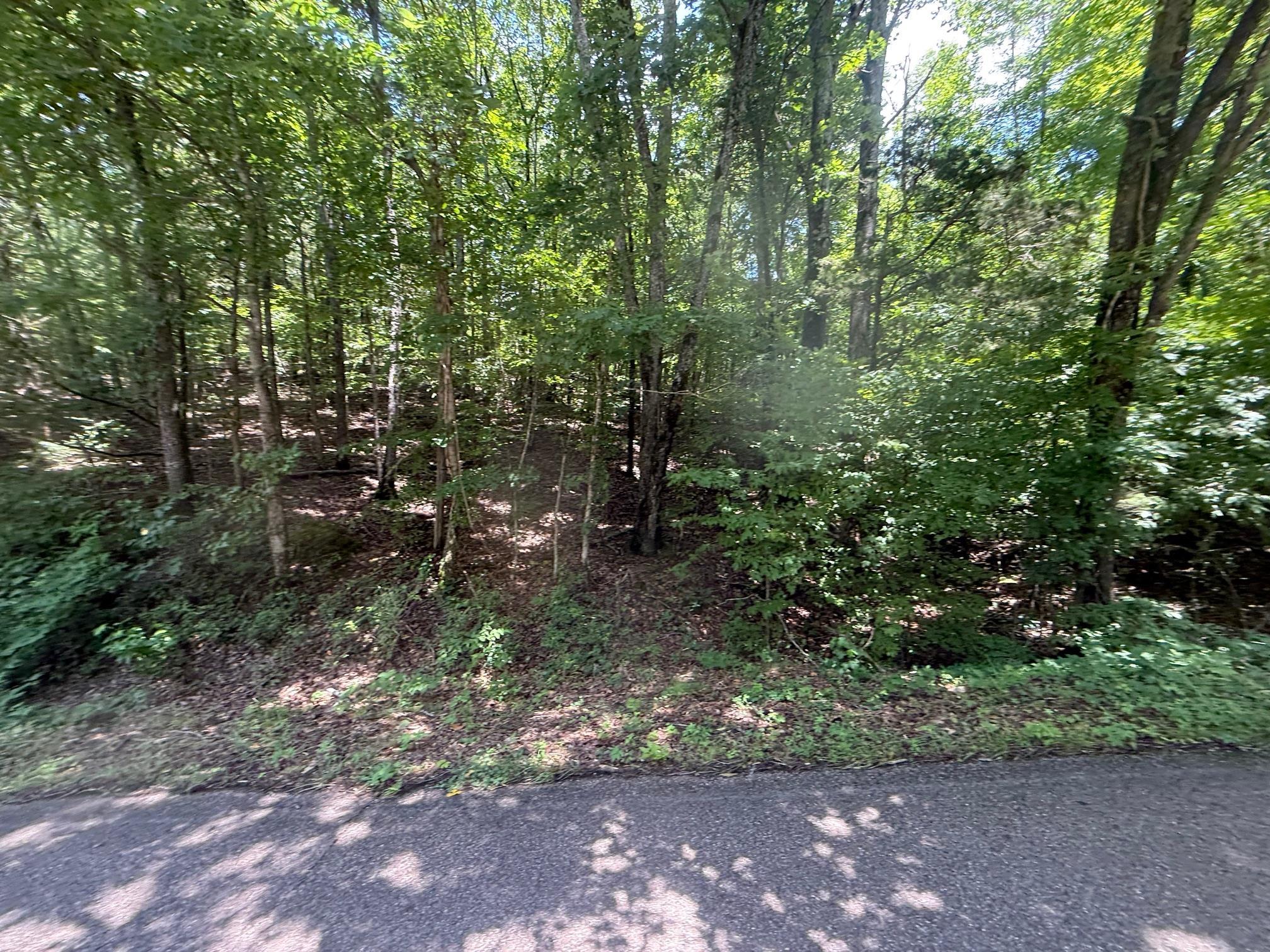 4 Cherry Chapel Loop Savannah, TN 38372 - Photo 9 of 15 a view of outdoor space and green space
