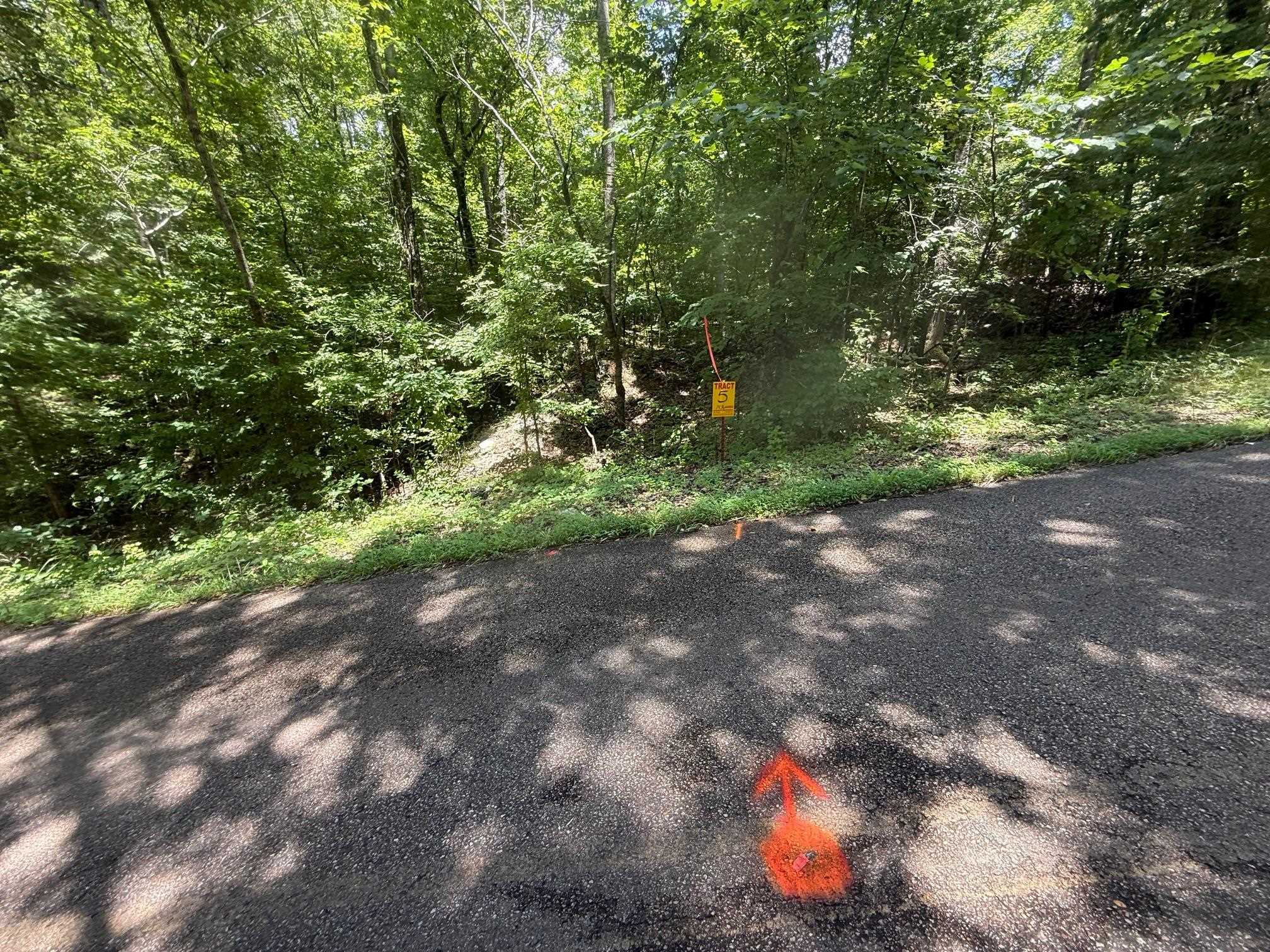 4 Cherry Chapel Loop Savannah, TN 38372 - Photo 10 of 15 a backyard of a house with lots of green space