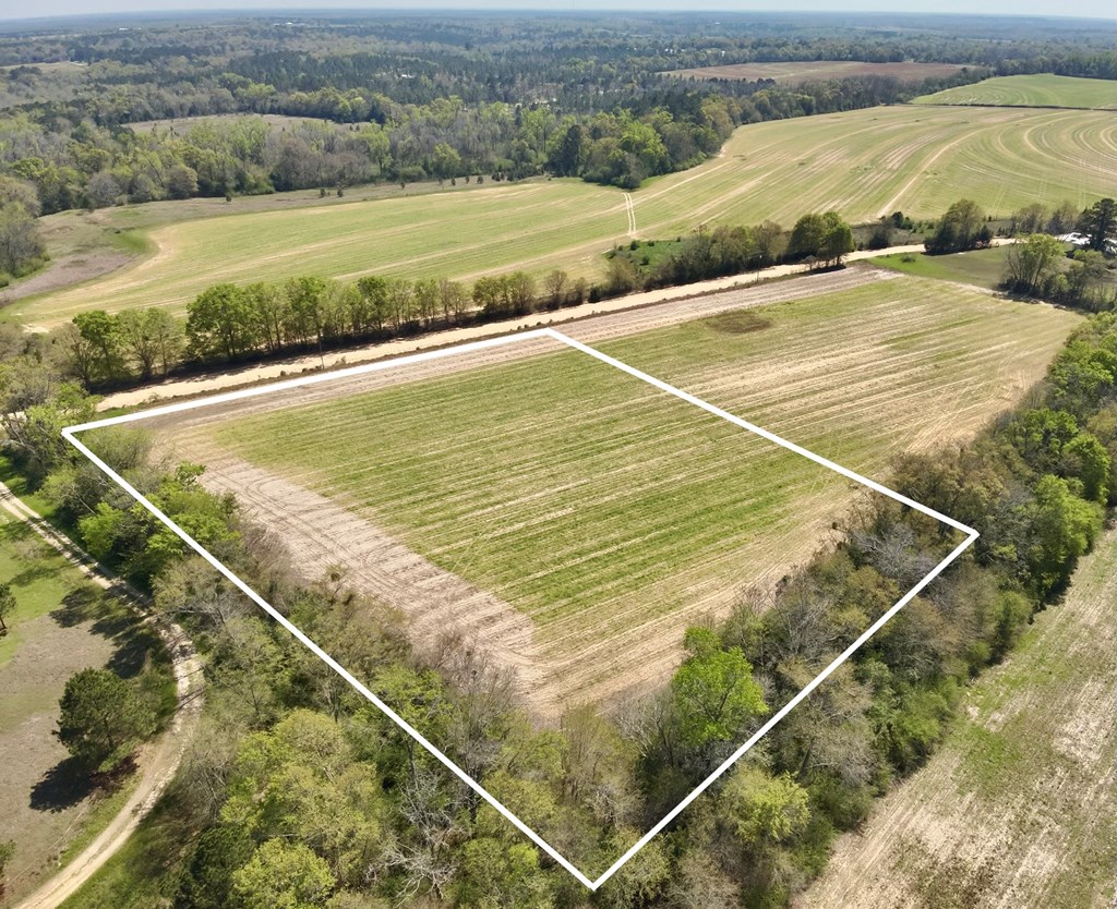 4-acres Dillard Road Pansey, AL 36370 - Photo 4 of 8