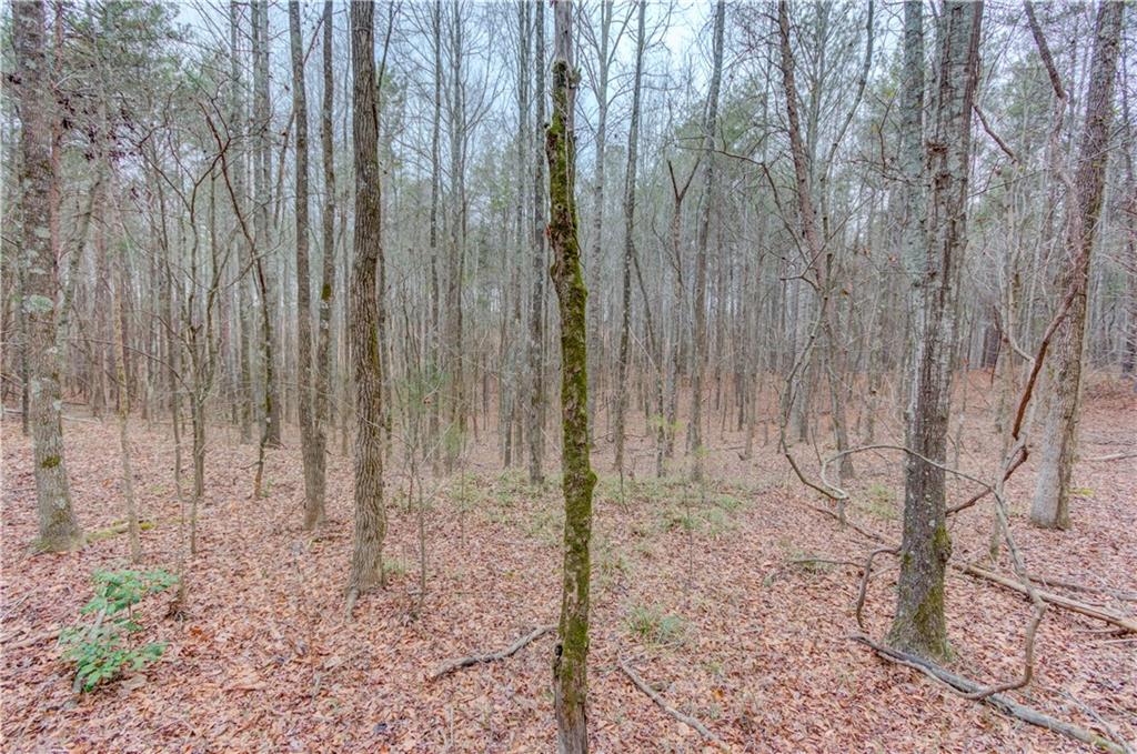 0 Sunshine Road Toccoa, GA 30577 - Photo 2 of 7