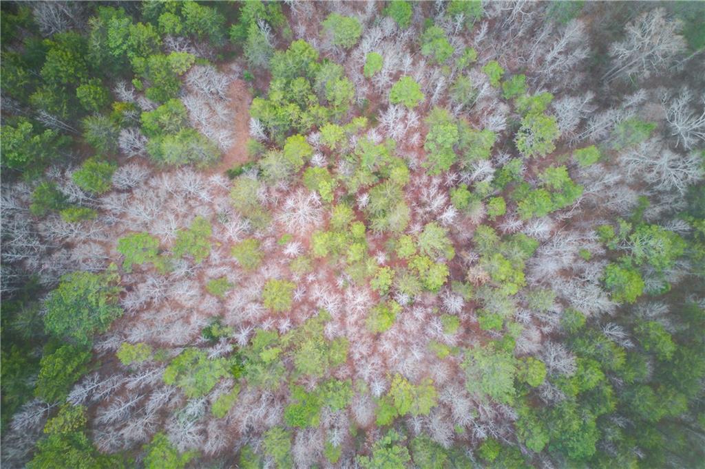 0 Sunshine Road Toccoa, GA 30577 - Photo 3 of 7