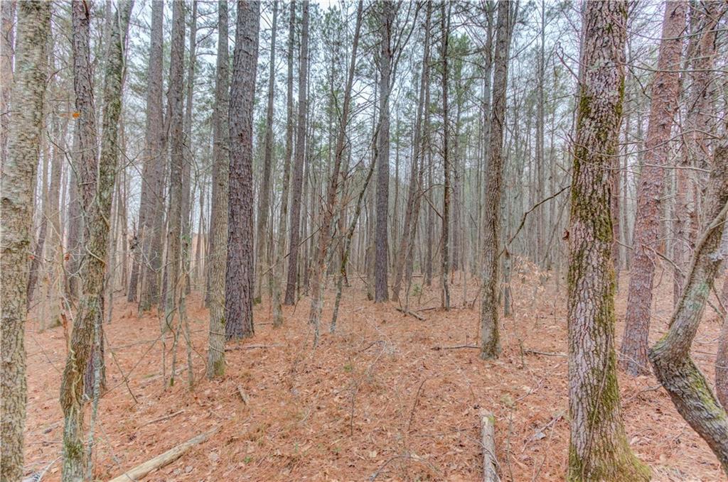 0 Sunshine Road Toccoa, GA 30577 - Photo 4 of 7