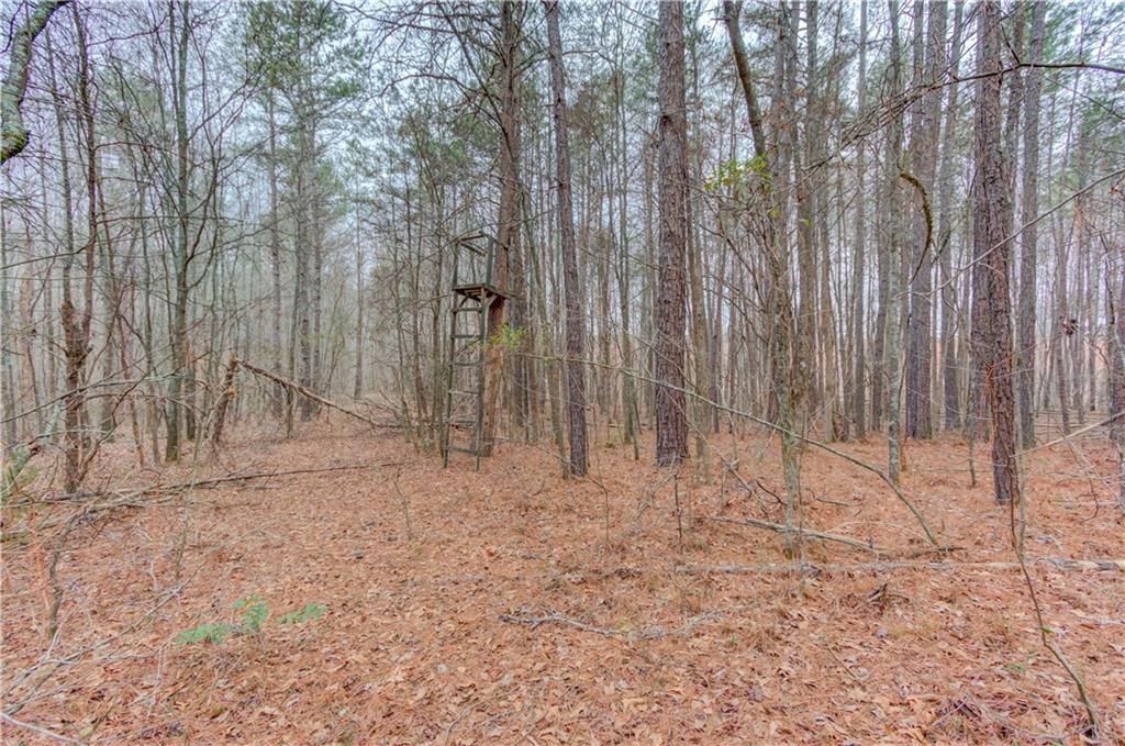 0 Sunshine Road Toccoa, GA 30577 - Photo 5 of 7