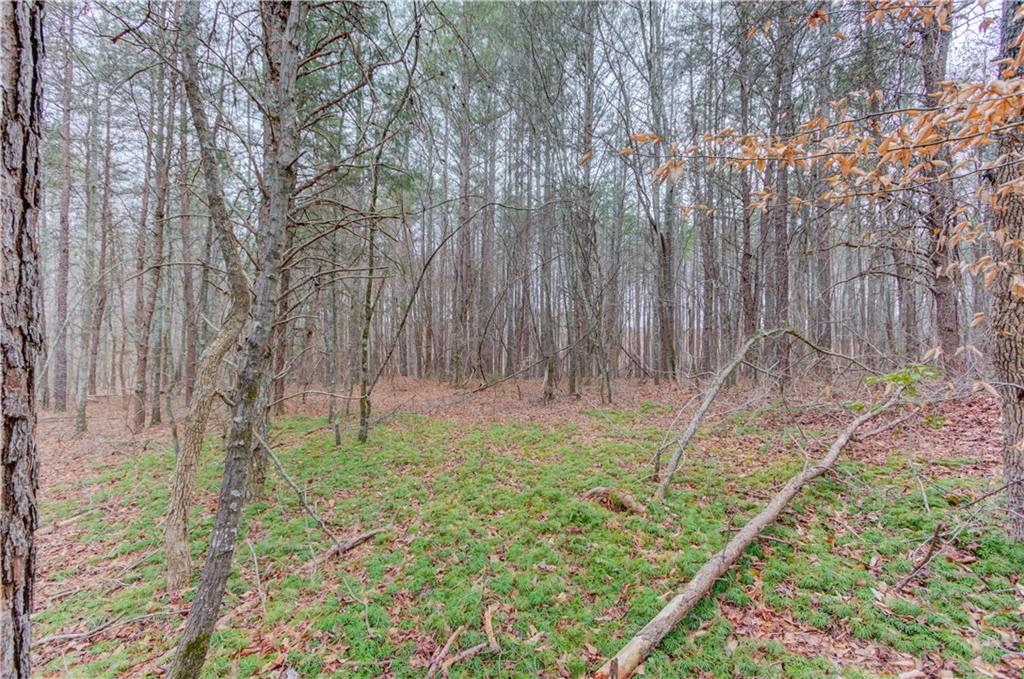 0 Sunshine Road Toccoa, GA 30577 - Photo 6 of 7