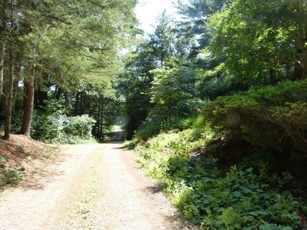 345 Silver Hill Road Concord, MA 01742 - Photo 30 of 38 Gallery Image 30
