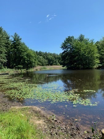345 Silver Hill Road Concord, MA 01742 - Photo 32 of 38 Gallery Image 32