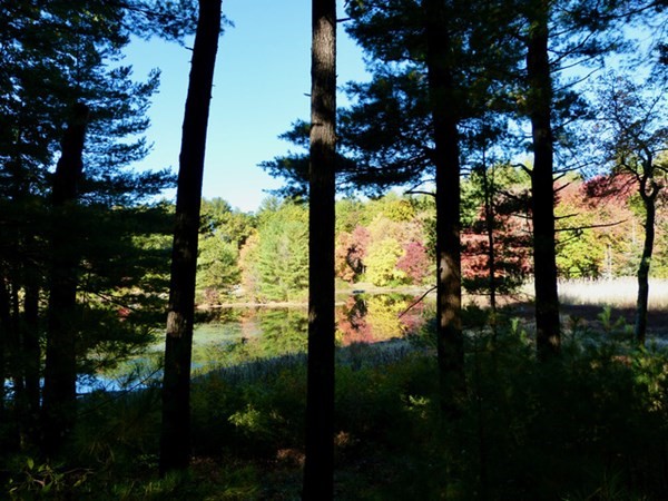 345 Silver Hill Road Concord, MA 01742 - Photo 37 of 38 Gallery Image 37