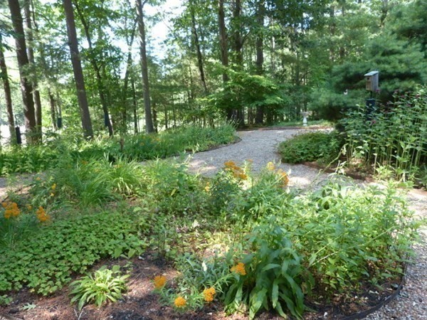 345 Silver Hill Road Concord, MA 01742 - Photo 8 of 38 Gallery Image 8