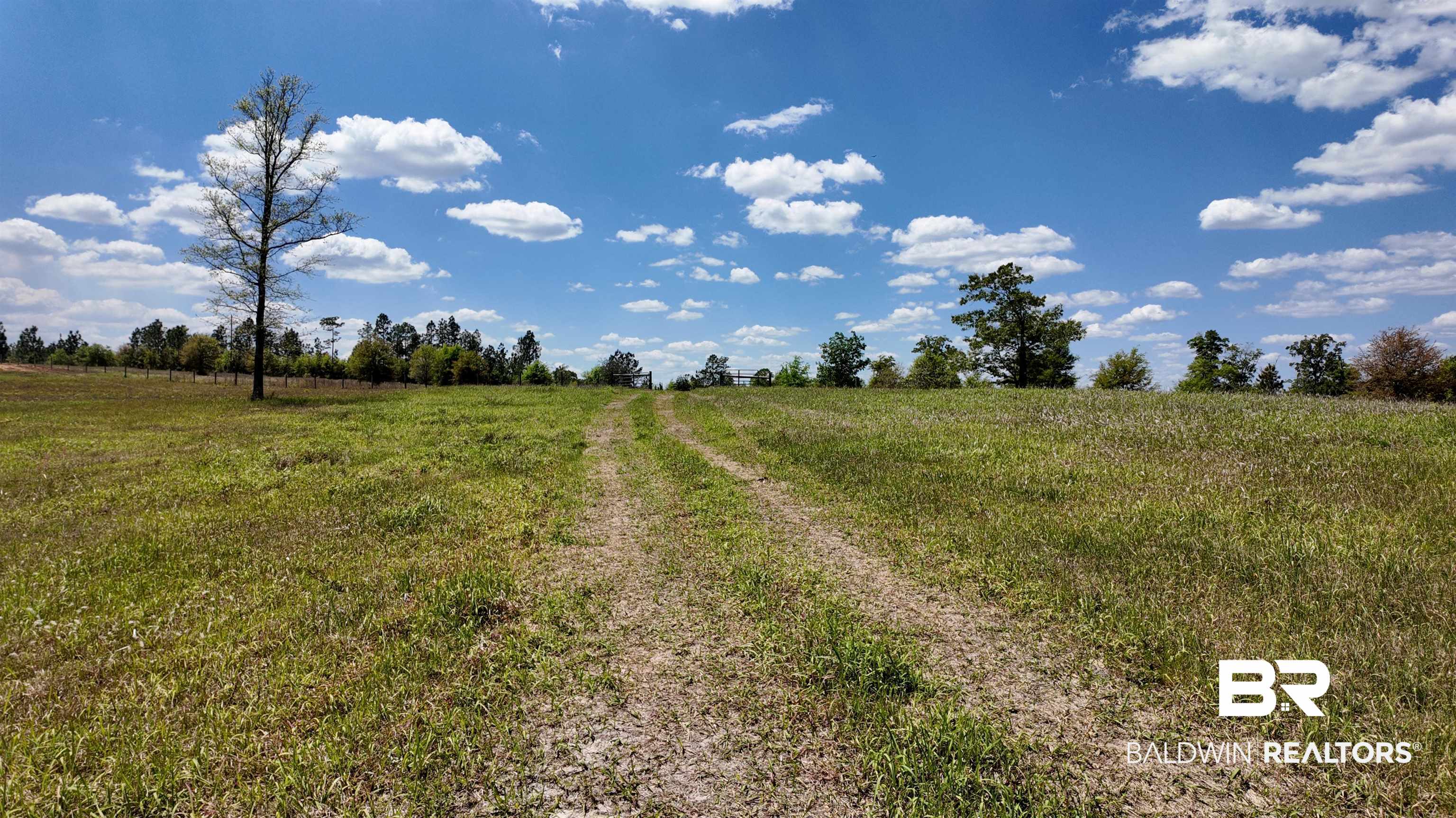 0 Powell Road Eight Mile, AL 36613 - Photo 20 of 57