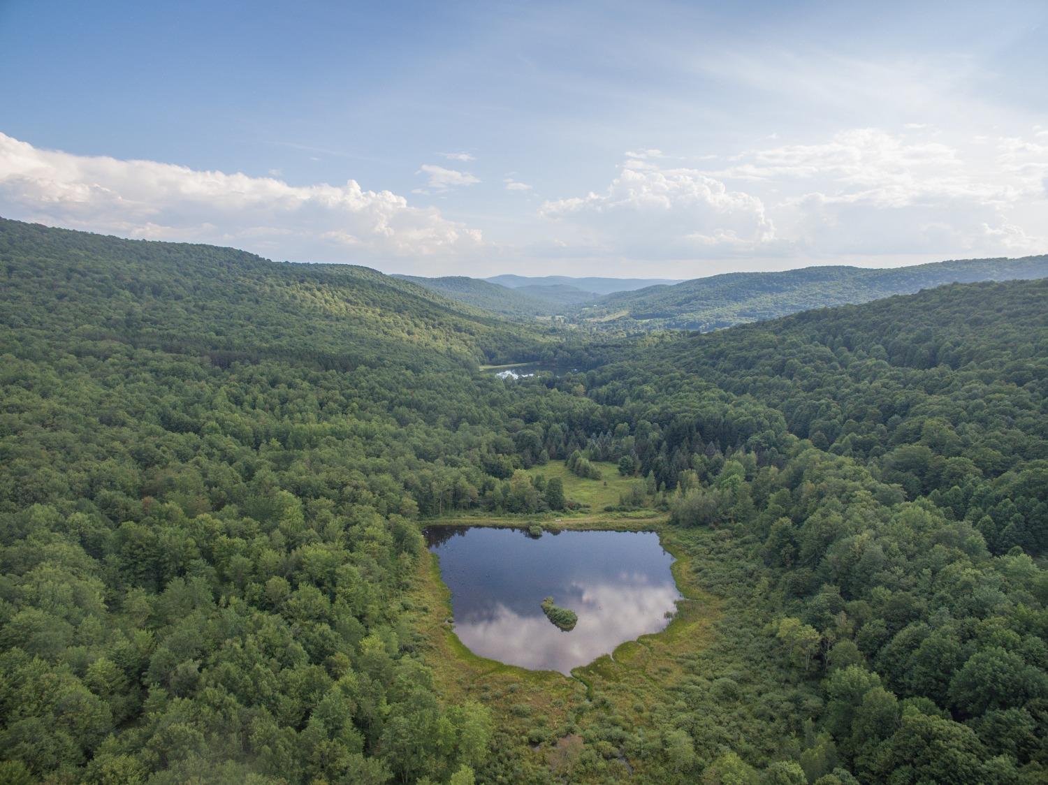 696 Skunk Hollow Road Andes, NY 13752 - Photo 1 of 1 Gallery Image 1
