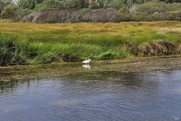 $899,000 | 145 Bean Avenue, Bodega Bay, CA 94923