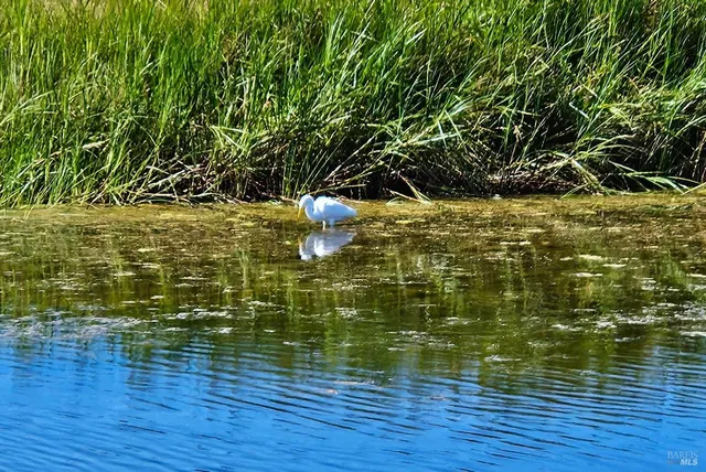 $1,025,000 | 145 Bean Avenue, Bodega Bay, CA 94923