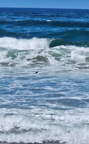 $1,025,000 | 145 Bean Avenue, Bodega Bay, CA 94923